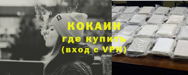 спиды Гвардейск