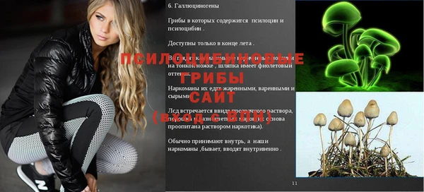 а пвп мука Алексеевка