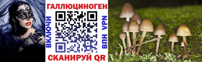 где продают   Коряжма  мориарти телеграм  Галлюциногенные грибы прущие грибы 