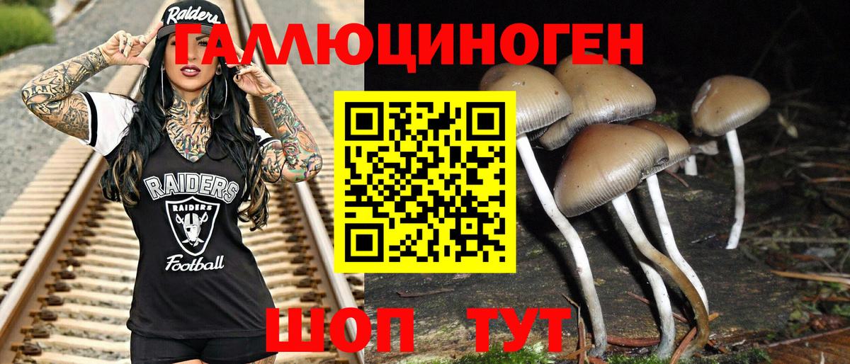 Псилоцибиновые грибы Psilocybe  дарнет шоп  Галлюциногенные грибы Psilocybe  Коряжма  Вход с VPN 