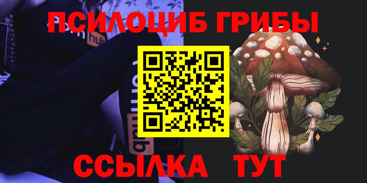 Псилоцибиновые грибы Psilocybine cubensis Коряжма